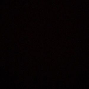 Meet your Posher, Shy